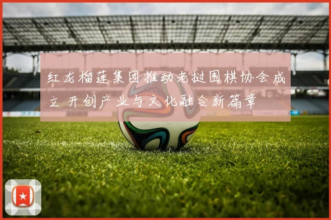红龙榴莲集团推动老挝围棋协会成立 开创产业与文化融合新篇章