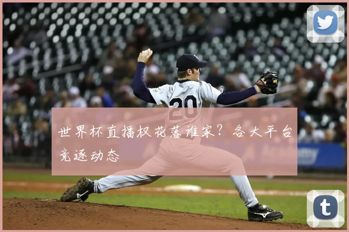 世界杯直播权花落谁家？各大平台竞逐动态